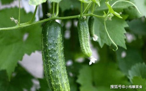 网红吃瓜网站推荐一下,热门事件深度解析,带你领略网络热点背后的真相 第3张 网红吃瓜网站推荐一下,热门事件深度解析,带你领略网络热点背后的真相 第3张